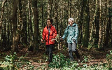 Two women Nordic walking with poles in the forest