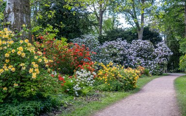 A colourful spring landscape with path on right