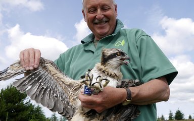 Man holding Osprey