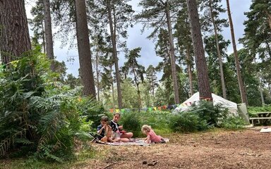 Children playing in the Pine Needle Glade with the shelter as a back drop