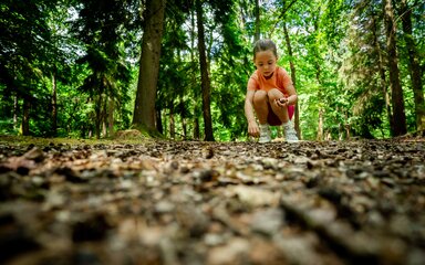 Young girl bent down on a path in the forest looking at something in her handd