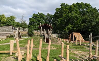 Wooden play structures in a forest setting