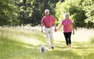 Couple walking with dog in the woods 
