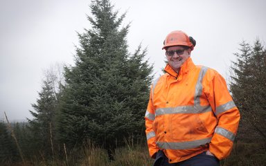 Man with Parliament Christmas Tree 