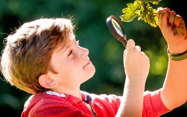 Boy looking at leaves with microscope