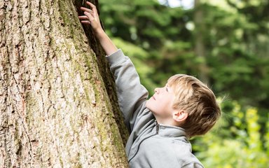 child reaching at tree