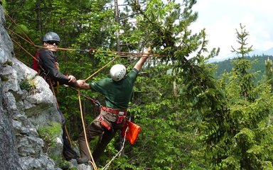 Picea omorika serbian spruce collecting with RBGE in Bosnia