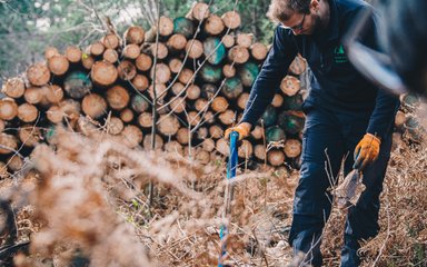 Man digging in front of log pile