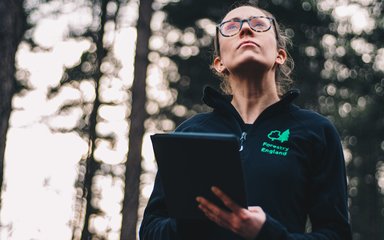 Woman looking up at trees with ipad clipboard