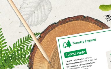 Graphic design banner showing different types of leaves, log slice, pencil and example worksheet