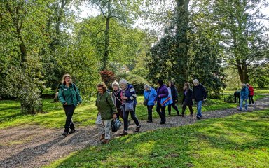 Community Programme Walk