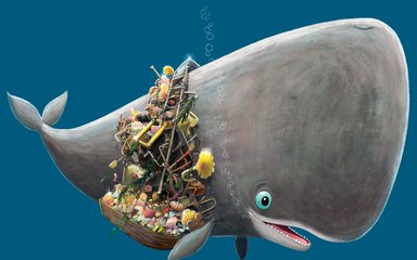 A book cover called The Whale who wanted more with a cartoon whale hoarding treasures from the sea