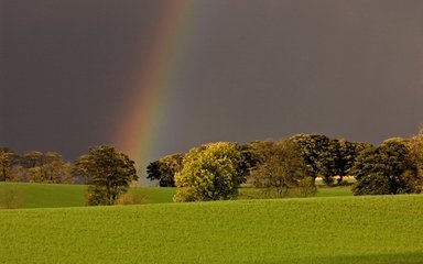 Dark skies brightened by a clear rainbow over green broadleaf trees