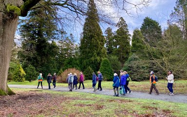 Group of 15 walkers in the National Pinetum