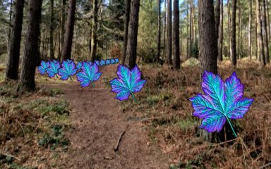 A conifer forest with reciprocity images of sycamore leaves overlaid