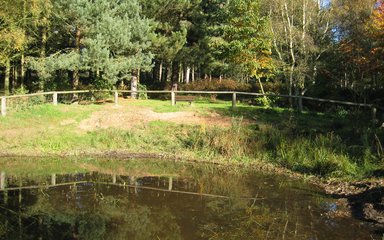 Boughton Brake pond