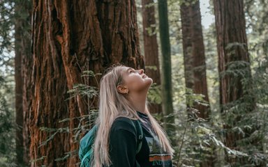 A women stands by a large redwood trunk, looking upwards into the tree canopy