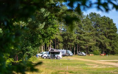 Campervans in the distance at Rendlesham campsite