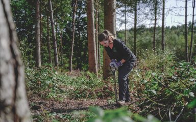A woman with long brown hair, wearing black trousers and a black Forestry England fleece leans over a spade as she digs the ground within the forest