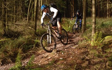 Mountain biking in the wood