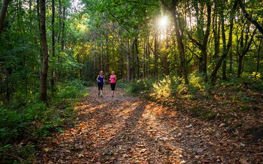 Running in the forest