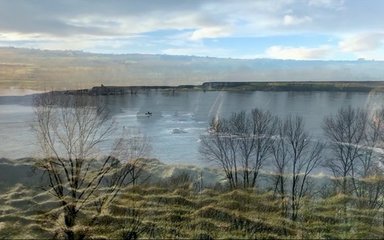 Trees by a lake  by Ruth Maclennan