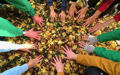 Many hands form a circle amongst fallen, yellow maple leaves
