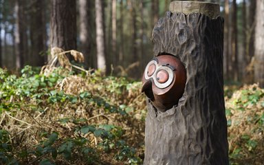 Gruffalo's friend, Owl sculpture in the forest