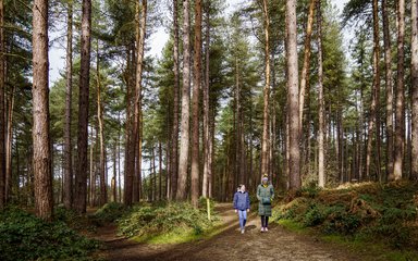 Woman and girl walking through coniferous woodland path