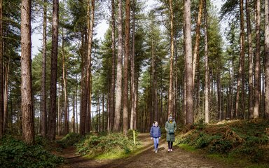 A mother and teenage daughter in winter coats walking on a trail through tall pine trees
