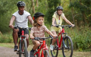 Family of three riding bikes on a forest trail