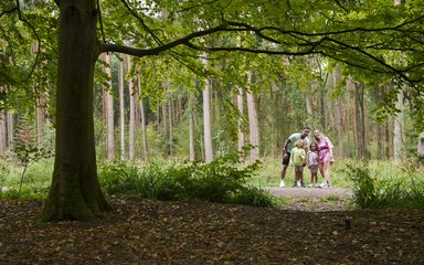 Parents and two children in summer clothes in woodland
