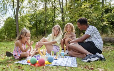 Family having picnic 