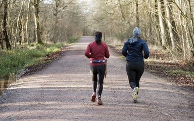 Two people running on a trail in the forest