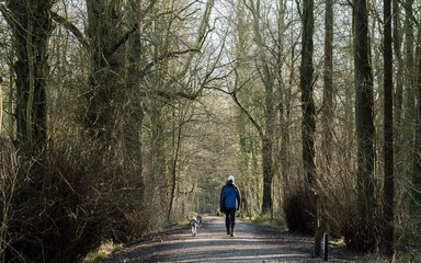 A man and his dog walking on a trail in a forest