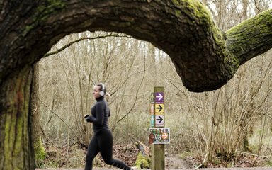 A lady running in Salcey Forest