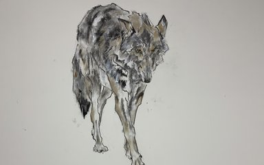 Sally Matthews Wolf