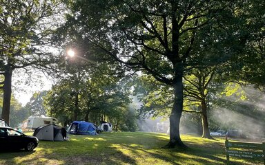 Tents in front of trees