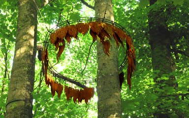 Hanging fire on the sculpture trail at Beechenhurst