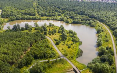 aerial view of a growing forest and river