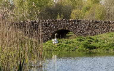 Sence Valley lake