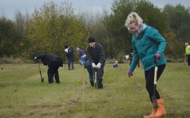 Man planting a tree with a spade
