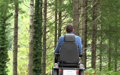 Tramper in conifer forest