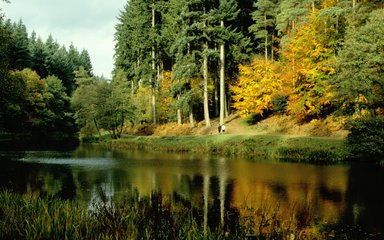 Soudley Ponds