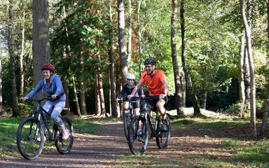 A family cycling in the spring at Alice Holt Forest