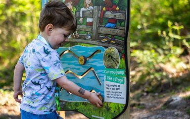 A young boy playing with an interactive Stick Man themed panel in the forest.
