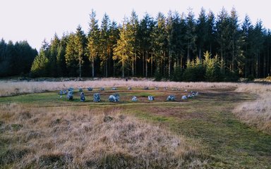 A stone circle with tall conifers behind