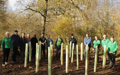 A group of people stand around tree tubes with sapling trees in