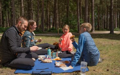 family sitting having a picnic in the forest on a sunny day