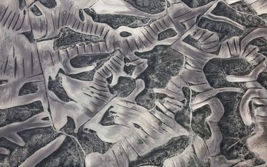 Yi Sun, ‘Dryland Farming, Study 7’ (2019)
